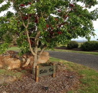 Belle Vue Studio - Accommodation Tasmania