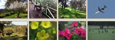 Moondyne Country Convention Centre - Accommodation Tasmania 2