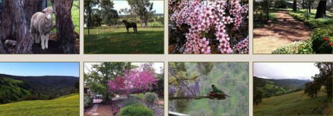 Moondyne Country Convention Centre - Accommodation Tasmania 3