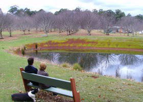 Chestnut Glade - Accommodation Tasmania 0