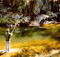 Markdale Homestead - Accommodation Tasmania