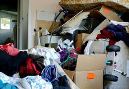 A Good Sort - Accommodation Tasmania 5