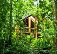 Fur'N'Feathers Rainforest Tree Houses - Accommodation Tasmania