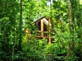 Fur'N'Feathers Rainforest Tree Houses - Accommodation Tasmania 0