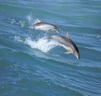 Seachange - Accommodation Tasmania