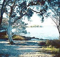 The Cove - Accommodation Tasmania