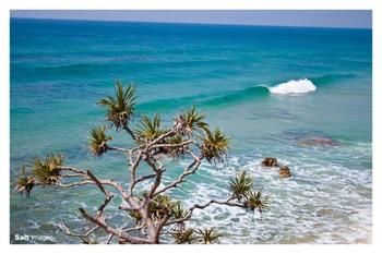 Pacific Horizons Resort - Accommodation Tasmania 24