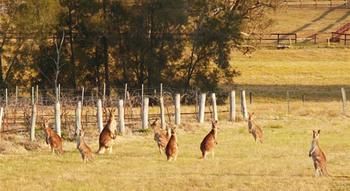 Talga Estate - Accommodation Tasmania 44