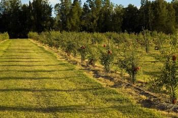 Talga Estate - Accommodation Tasmania 45