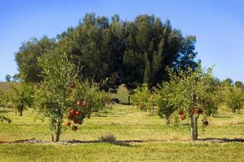 Talga Estate - Accommodation Tasmania 48