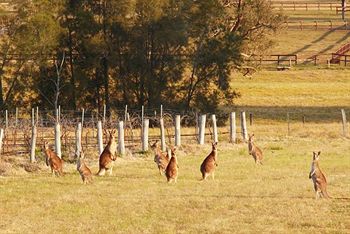 Talga Estate - Accommodation Tasmania 1