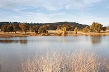 Talga Estate - Accommodation Tasmania 3