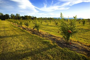Talga Estate - Accommodation Tasmania 12