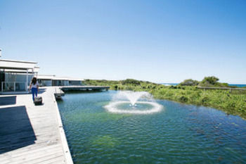 Caves Beachside Hotel - Accommodation Tasmania 42