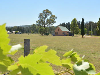 Madigan Wine Country Cottages - Accommodation Tasmania 94