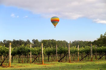 Carriages Boutique Hotel - Accommodation Tasmania 26