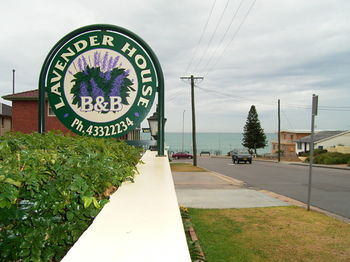 Lavender House B&B - Accommodation Tasmania 18