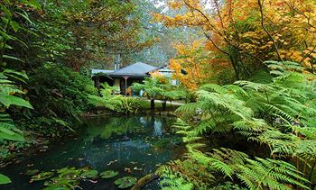 Cottages At Monreale - Accommodation Tasmania 12