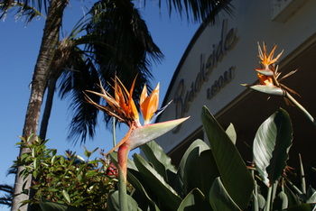 Beachside Resort - Kawana Waters - Accommodation Tasmania 4