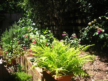 Bungunyah Apartments - Accommodation Tasmania 1