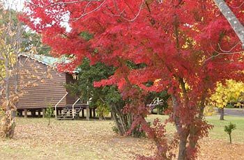 Madison's Mountain Retreat - Accommodation Tasmania 1