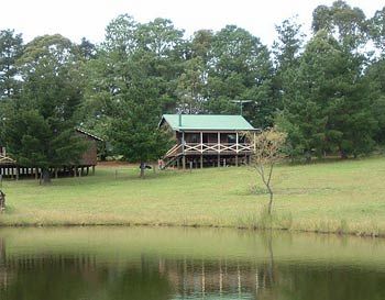 Madison's Mountain Retreat - Accommodation Tasmania 2
