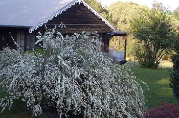 Madison's Mountain Retreat - Accommodation Tasmania 3