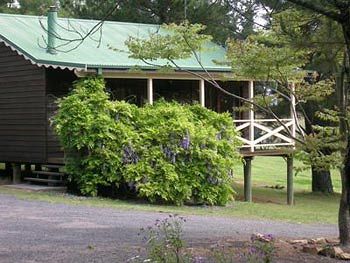 Madison's Mountain Retreat - Accommodation Tasmania 4