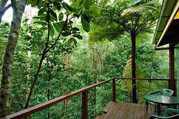 Kondalilla Eco Resort - Accommodation Tasmania 2