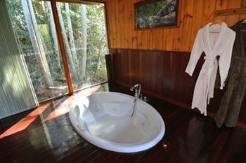 Kondalilla Eco Resort - Accommodation Tasmania 21