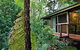 Kondalilla Eco Resort - thumb 23