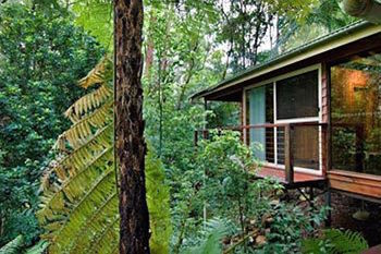 Kondalilla Eco Resort - Accommodation Tasmania 23
