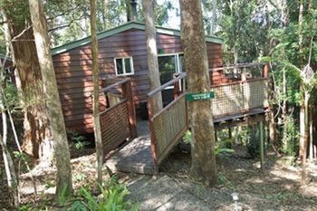 Kondalilla Eco Resort - Accommodation Tasmania 27