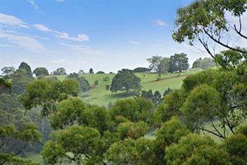 Kondalilla Eco Resort - Accommodation Tasmania 28