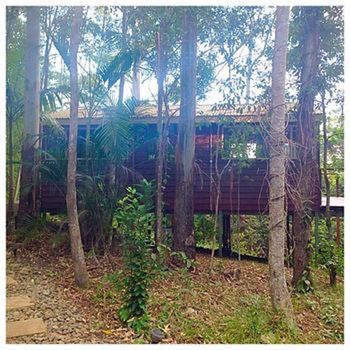 Kondalilla Eco Resort - Accommodation Tasmania 32