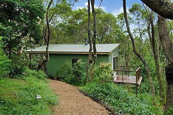 Kondalilla Eco Resort - Accommodation Tasmania 34