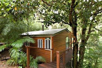 Kondalilla Eco Resort - Accommodation Tasmania 35