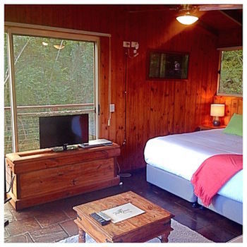 Kondalilla Eco Resort - Accommodation Tasmania 50