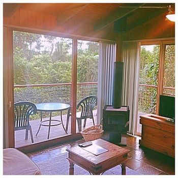 Kondalilla Eco Resort - Accommodation Tasmania 89