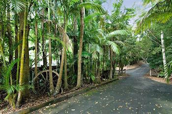 Kondalilla Eco Resort - Accommodation Tasmania 94