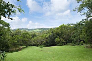 Kondalilla Eco Resort - Accommodation Tasmania 97