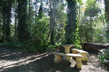 Kondalilla Eco Resort - Accommodation Tasmania 98