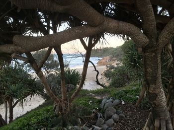 Surf Dance - Accommodation Tasmania 9