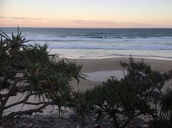 Surf Dance - Accommodation Tasmania 12