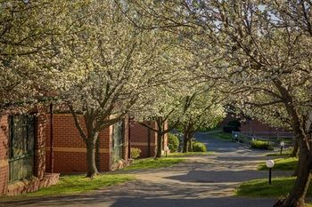 Apartments @ Mt Waverley - Accommodation Tasmania 8
