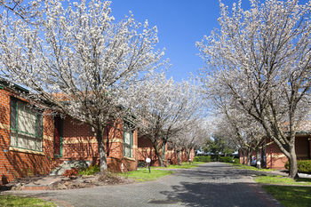 Apartments @ Mt Waverley - Accommodation Tasmania 26