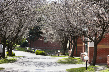 Apartments @ Mt Waverley - Accommodation Tasmania 27