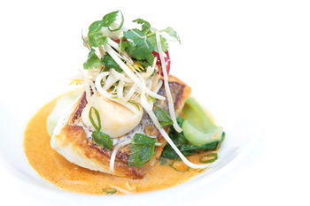 Noosa Springs Golf Resort & Spa - Accommodation Tasmania 2