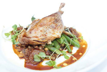 Noosa Springs Golf Resort & Spa - Accommodation Tasmania 3