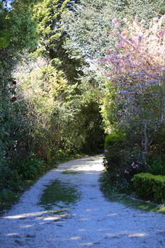 Hotel Avonleigh - Accommodation Tasmania 15